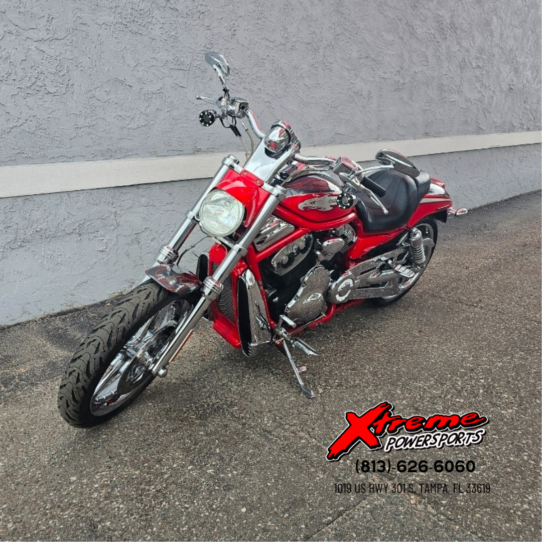 2006 Harley-Davidson CVO™ Screamin' Eagle® V-Rod® CVO in Tampa, FL