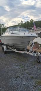 1978 Sea Ray 20 Sea Ray in mc coole MD