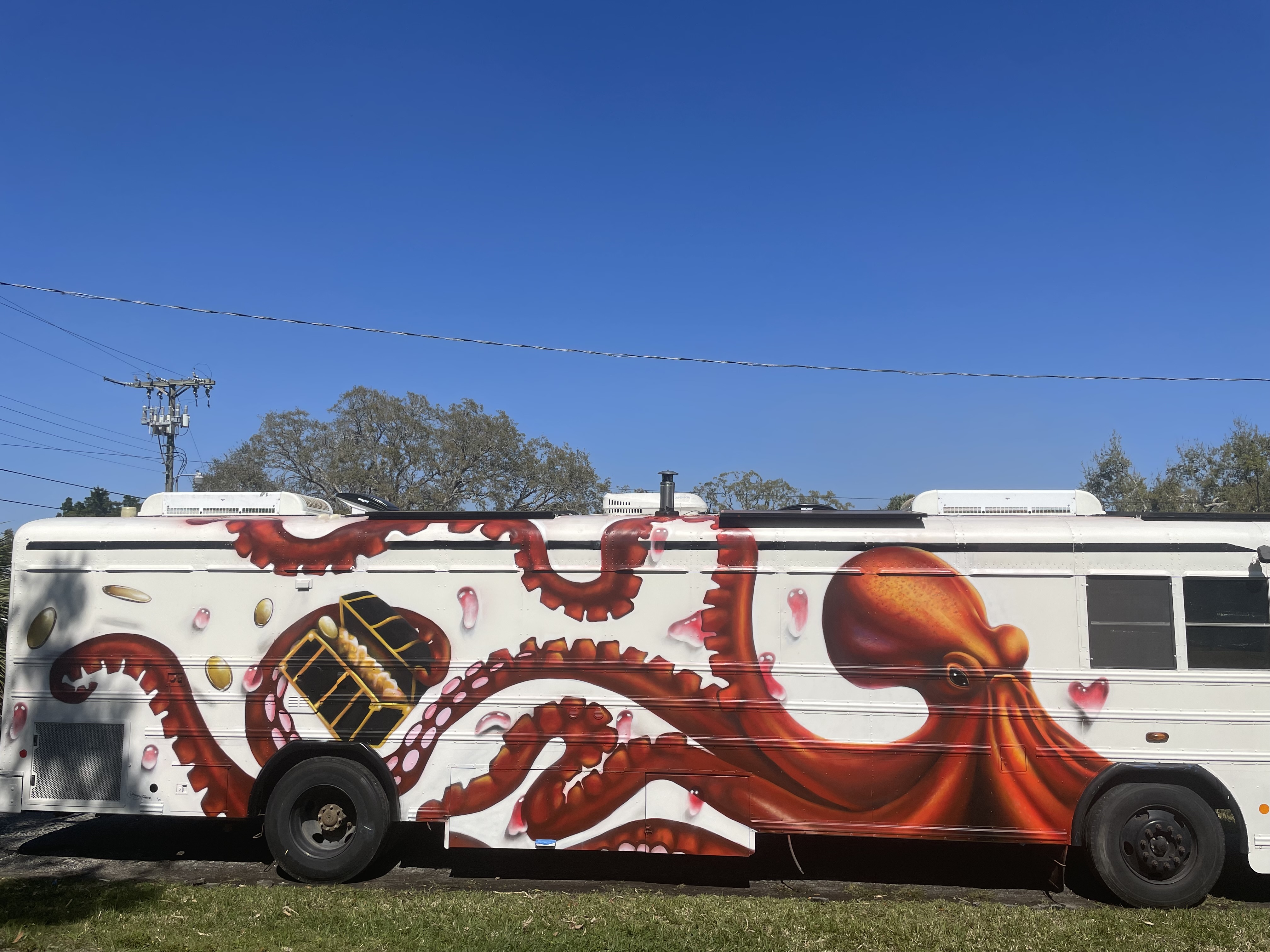 2010 Blue Bird SCHOOL BUS 3800 RV