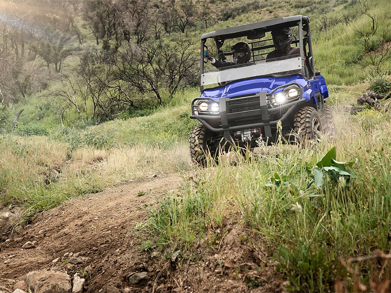 A photo of this 2026 Kawasaki MULE PRO-MX™ LE