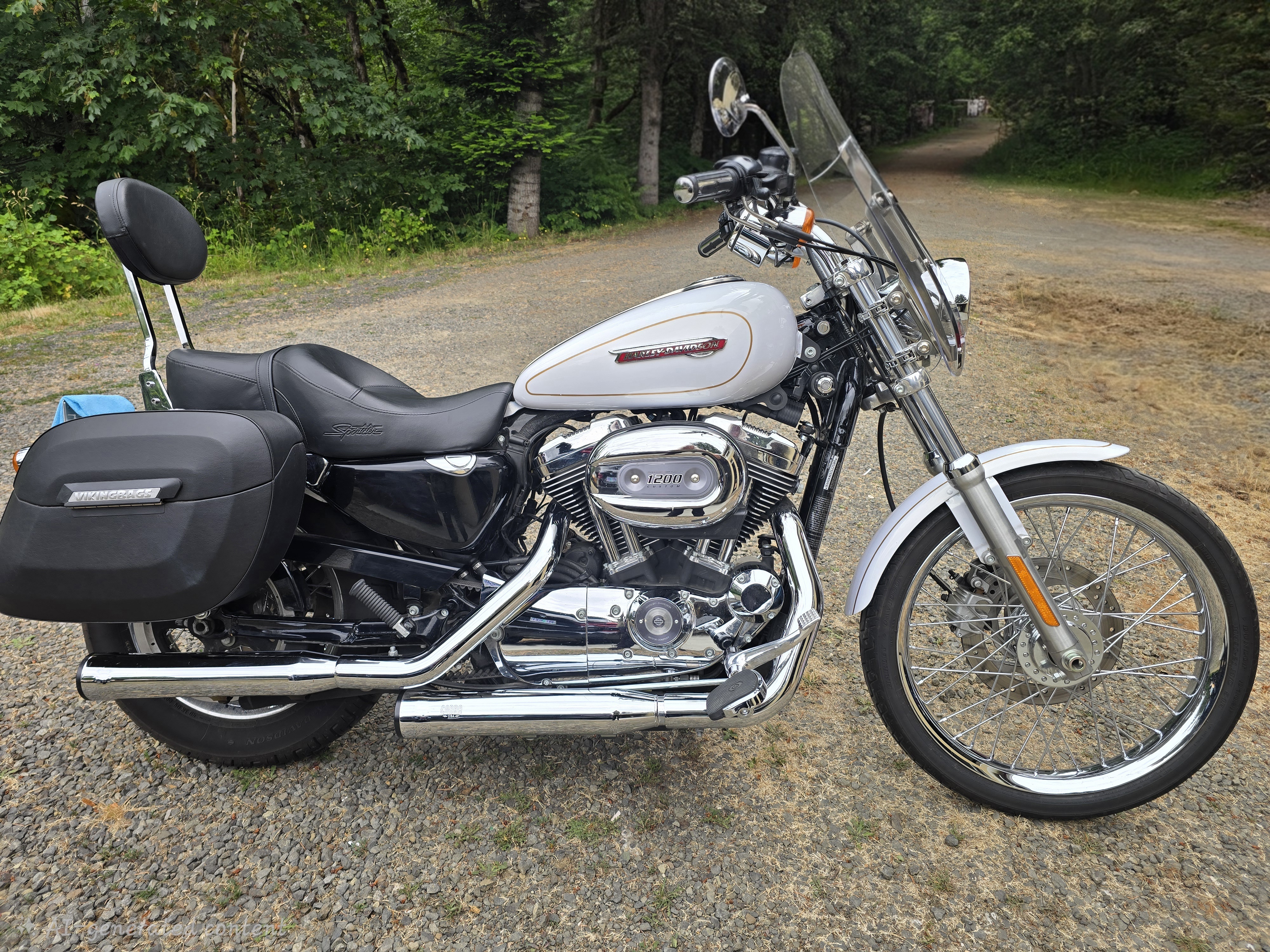 2008 Harley-Davidson SPORTSTER 1200 CUSTOM XL1200C CUSTOM XL1200C in Carlton, OR