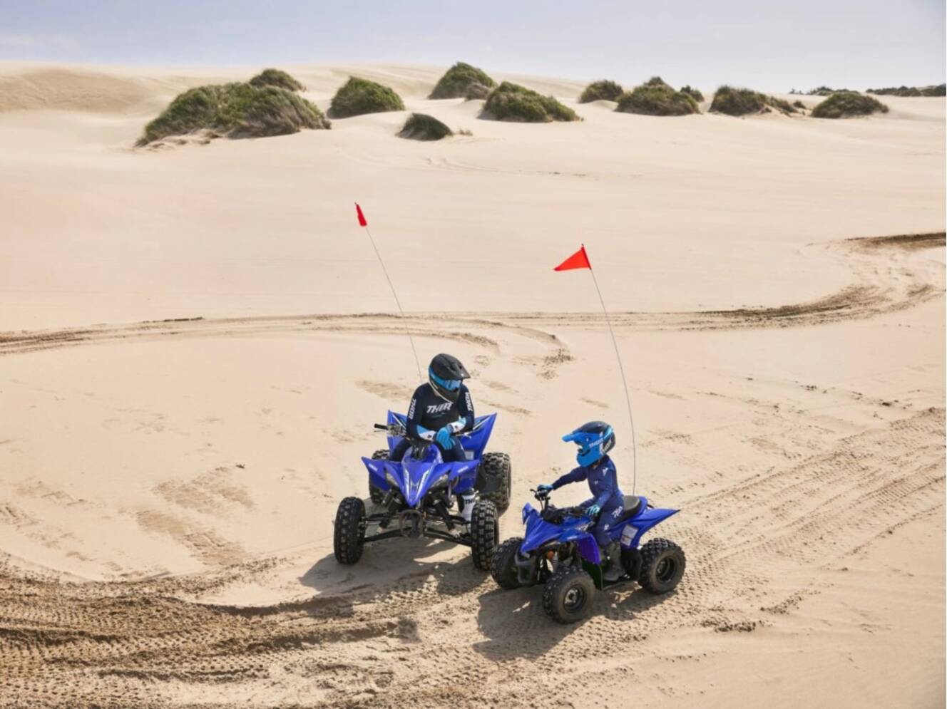 A photo of this 2026 Yamaha YFZ50