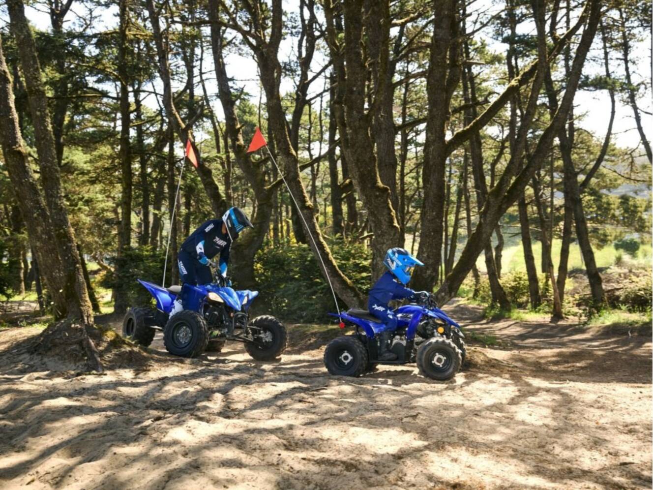 A photo of this 2026 Yamaha YFZ50