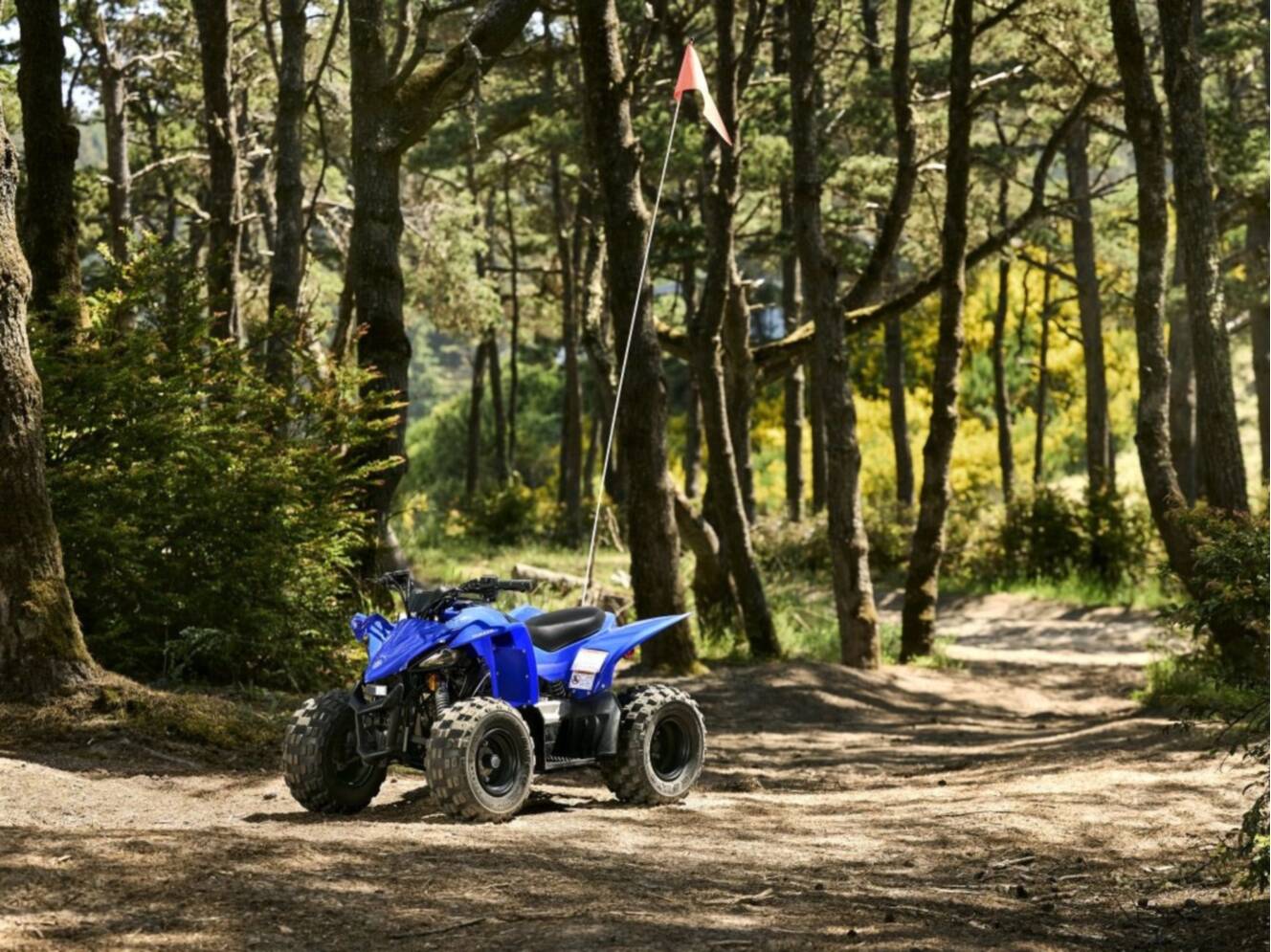 A photo of this 2026 Yamaha YFZ50