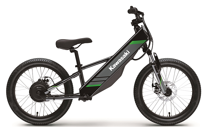 2025 Kawasaki Elektrode® 20 in Bennington, VT