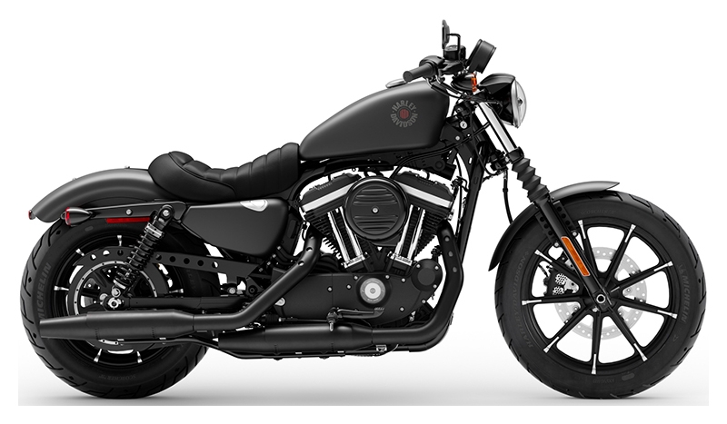 2020 Harley-Davidson Iron 883™ IRON in Alexandria, LA