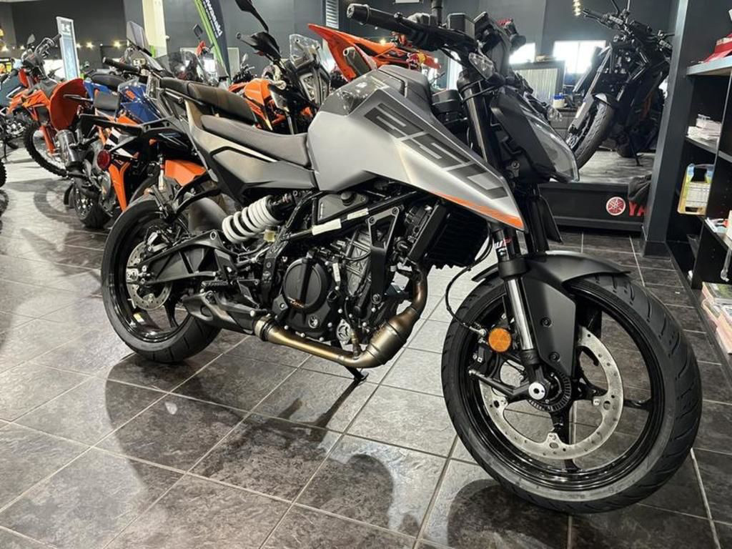 2026 KTM 250 Duke 250 in Myrtle Beach, SC
