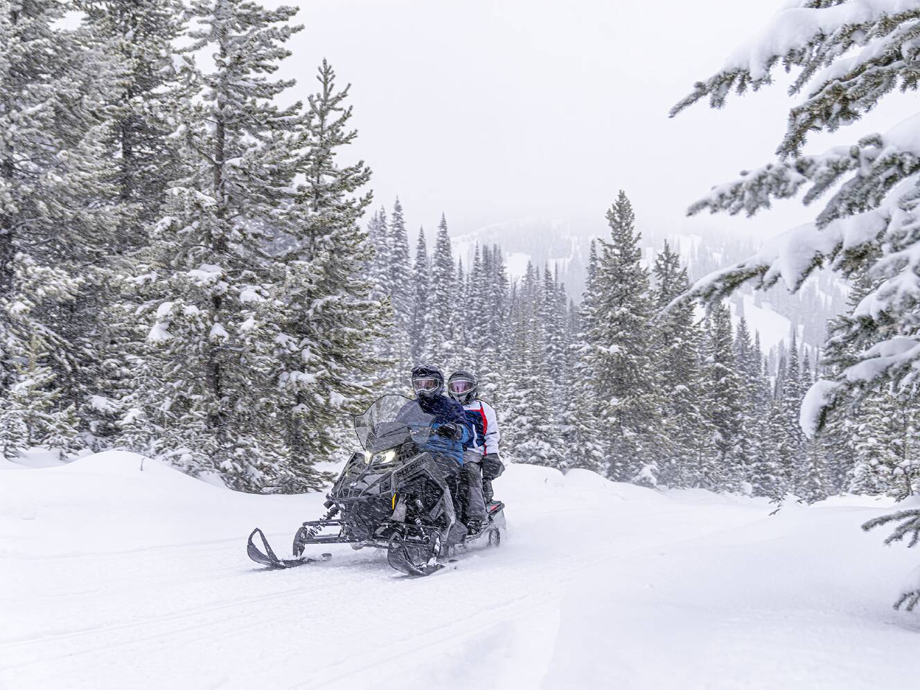 A photo of this 2025 Polaris ProStar S4 INDY Adventure 137 SC ES