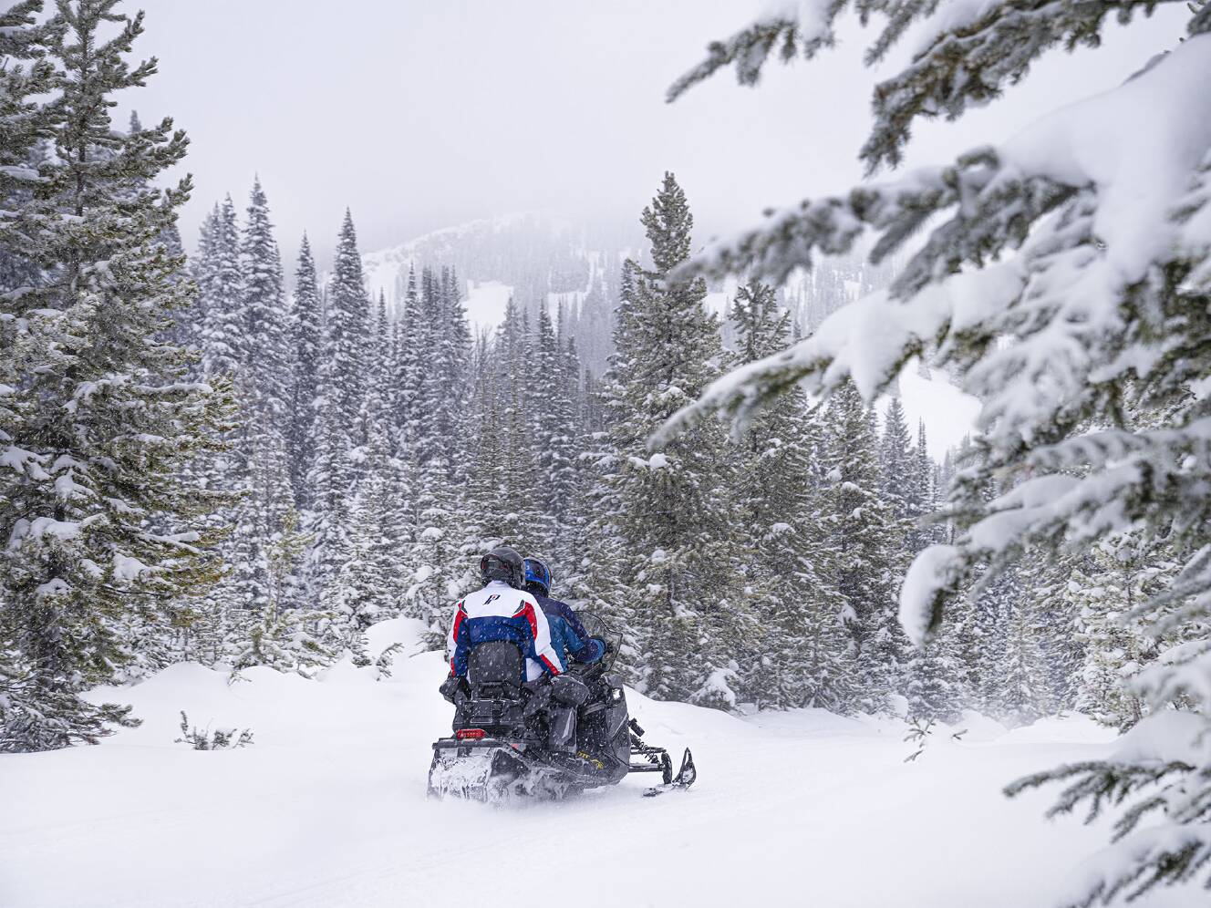 A photo of this 2025 Polaris ProStar S4 INDY Adventure 137 SC ES