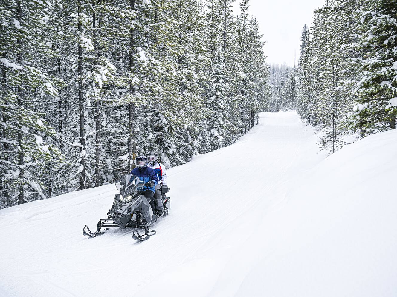 A photo of this 2025 Polaris ProStar S4 INDY Adventure 137 SC ES