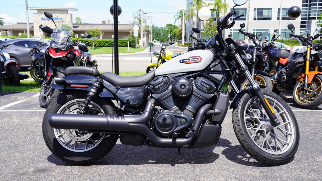 2025 Harley-Davidson Nightster 975 Special in Tampa, FL