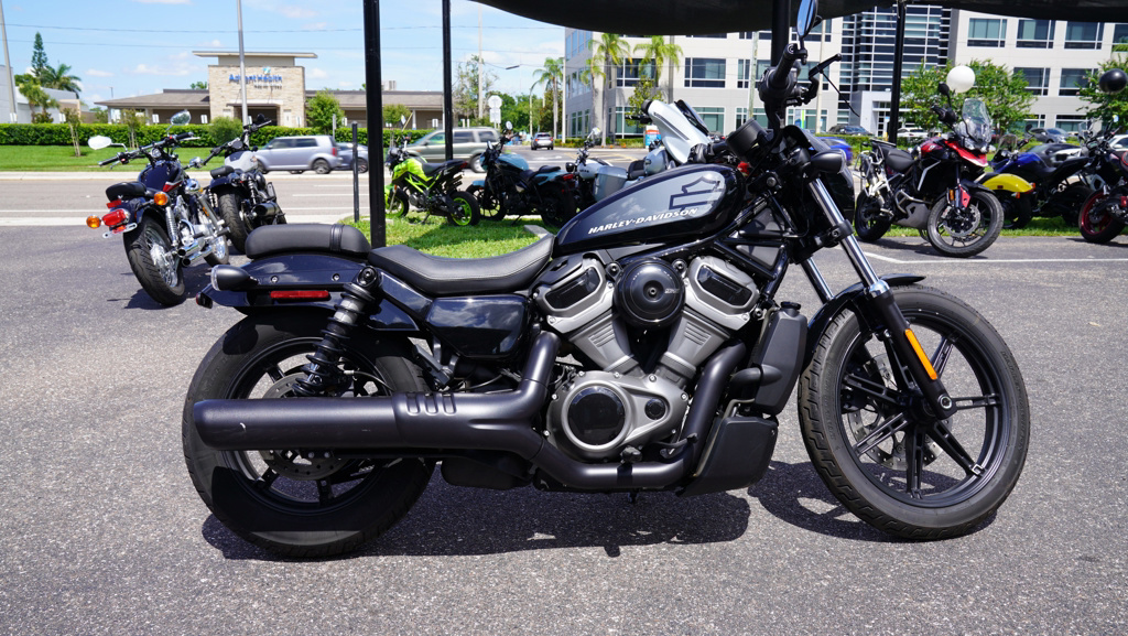 2022 Harley-Davidson Sportster Nightster NIGHTSTER in Tampa, FL