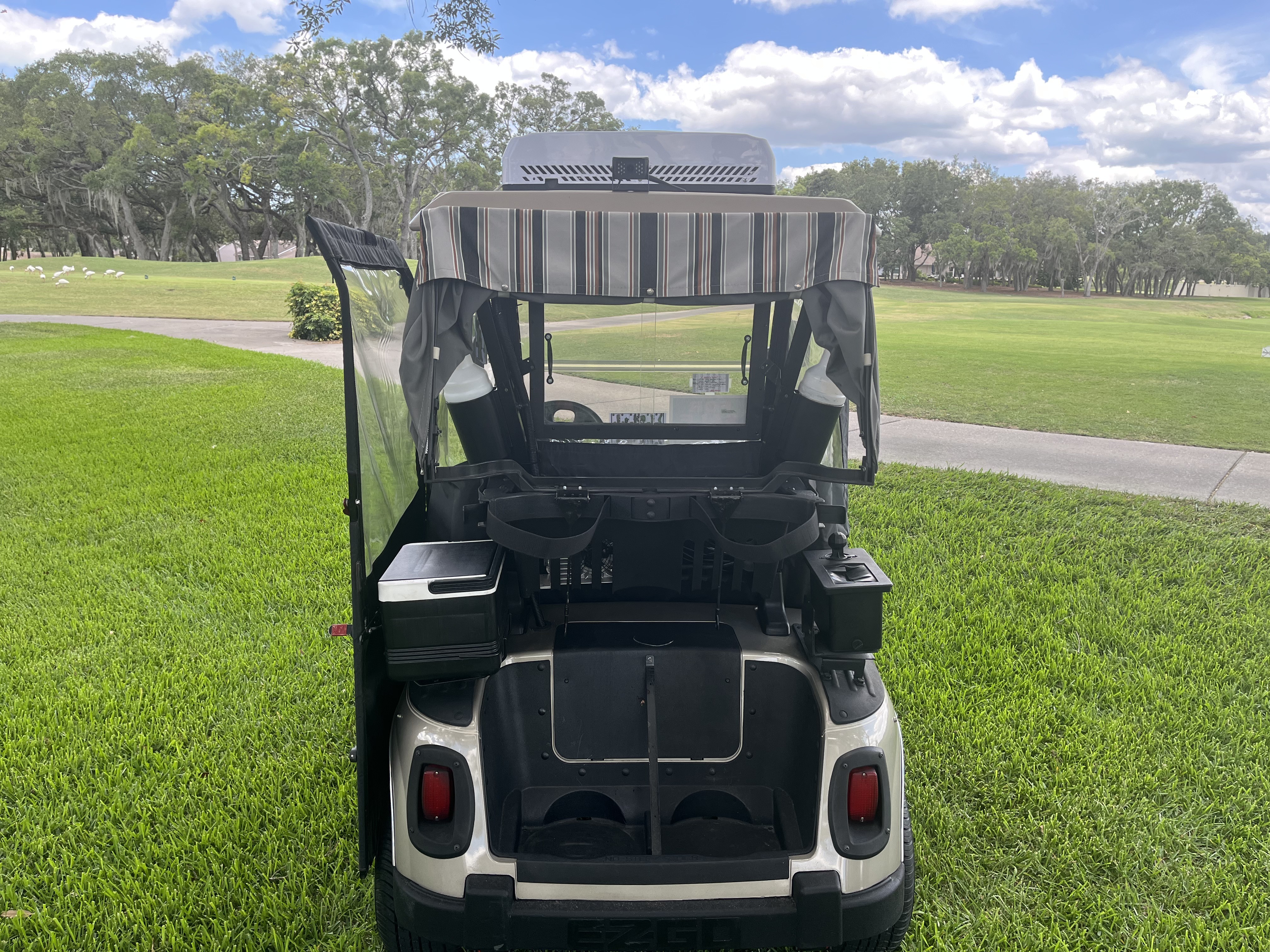 2015 E-Z-Go RXV ELITE LITHIUM in spring hill FL