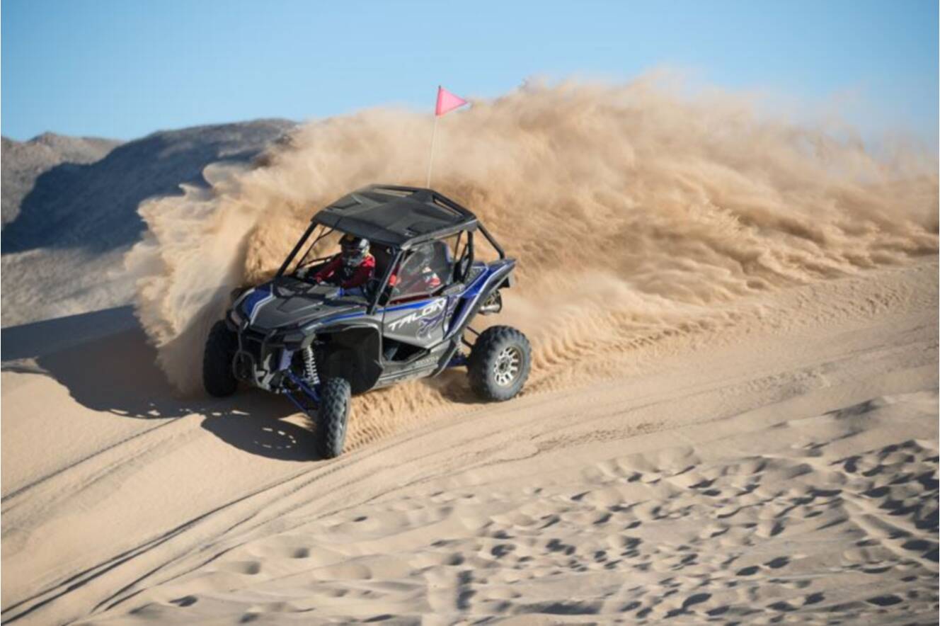 A photo of this 2019 Honda Talon 1000X