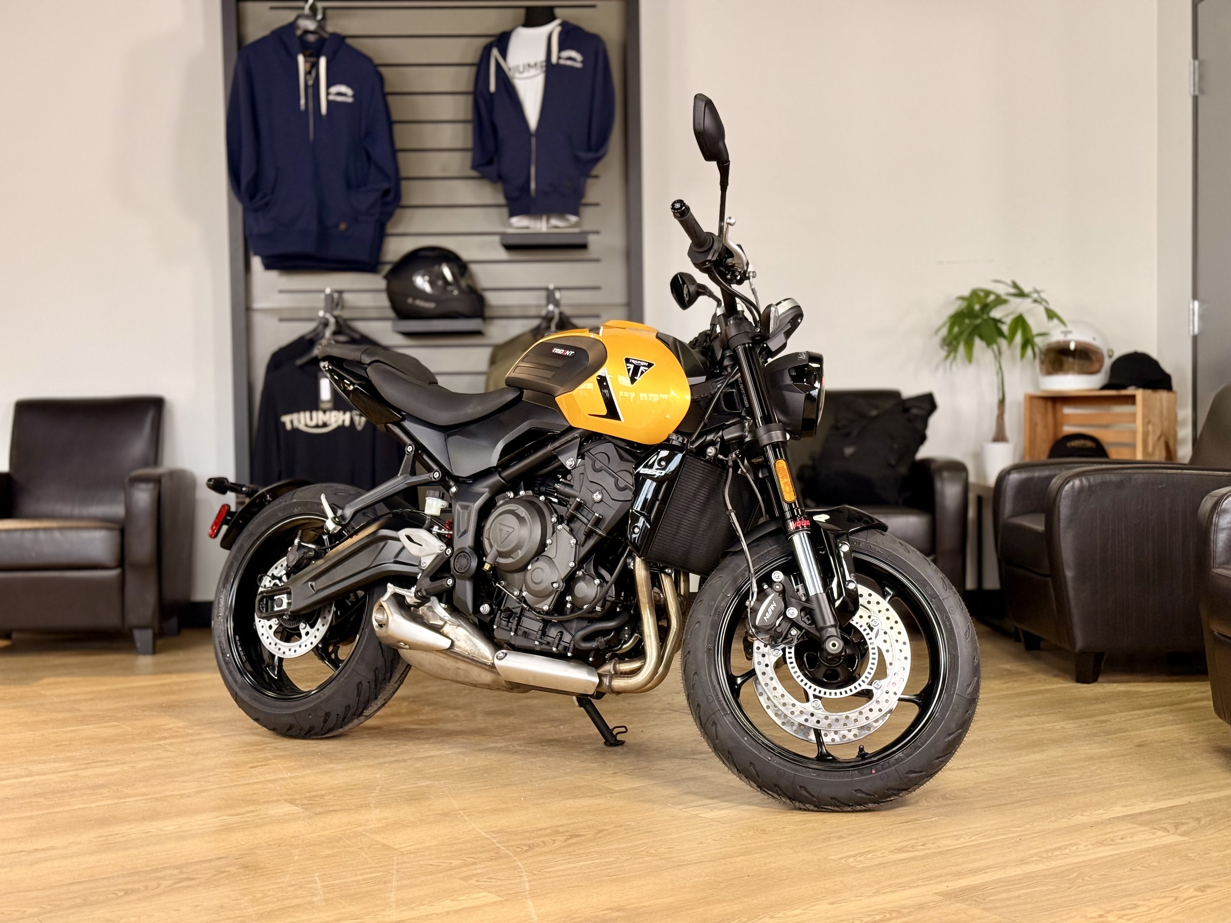 2026 Triumph Trident 660 660 in Cleveland, OH