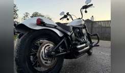 2021 Harley-Davidson STREET BOB 114 motorcycle