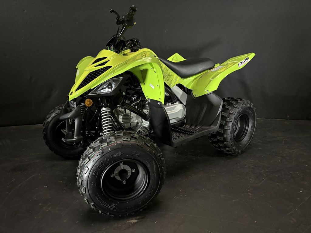 2026 Yamaha Raptor 110 in appleton WI