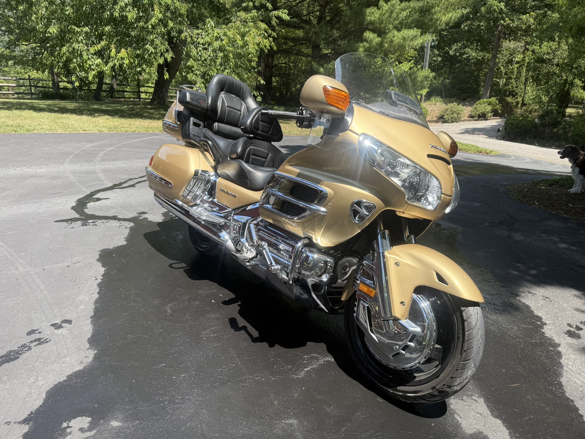2006 Honda GOLD WING AIRBAG AIRBAG in Salem, VA