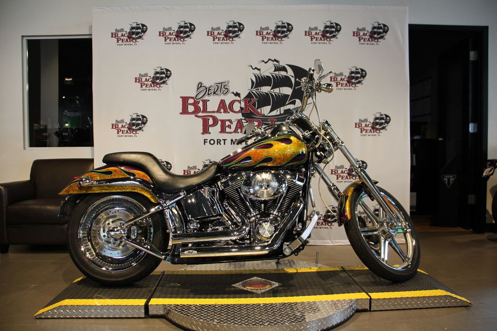 2005 Harley-Davidson FXSTDI CUSTOM PAINT OTHER in Fort Myers, FL