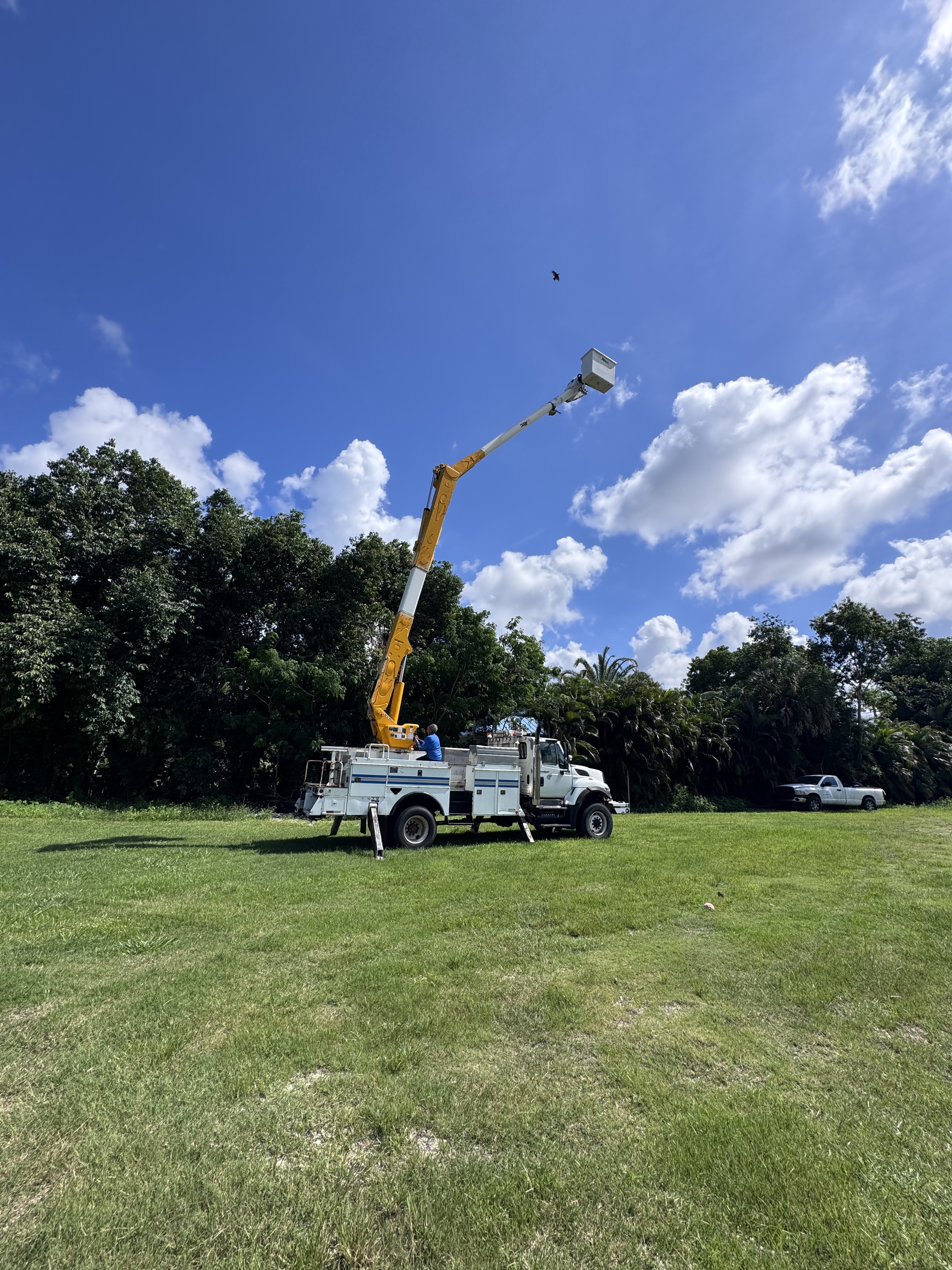 2008 ALTEC AM55 in Naples, FL