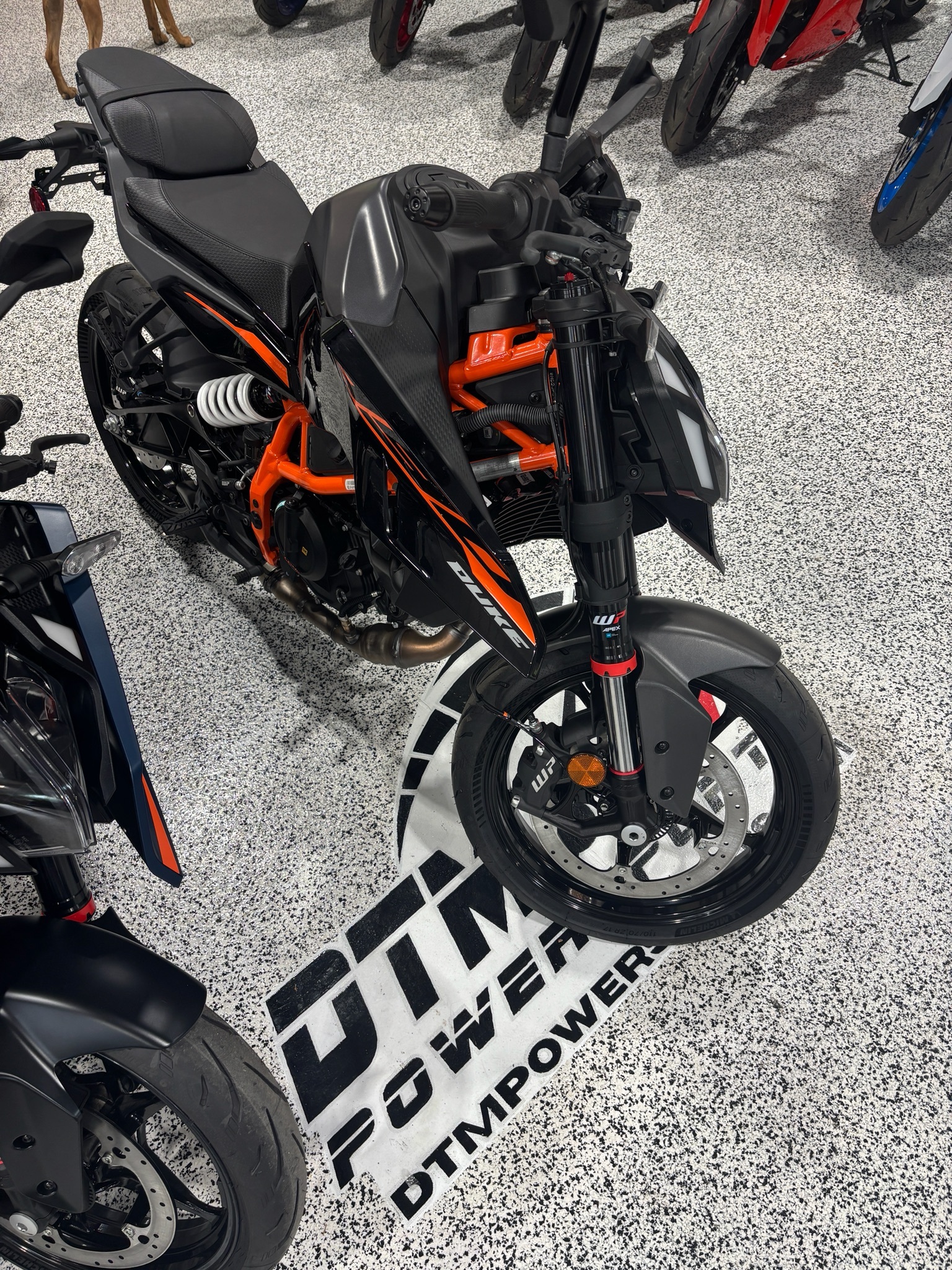 2026 KTM 390 Duke DUKE in Newfield, NJ
