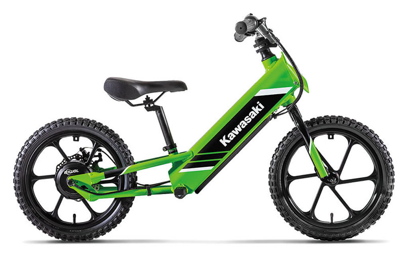 2025 Kawasaki Elektrode® 16 in Petersburg, WV