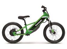 The Vague, Hotly Debated Legality of e-Bikes image