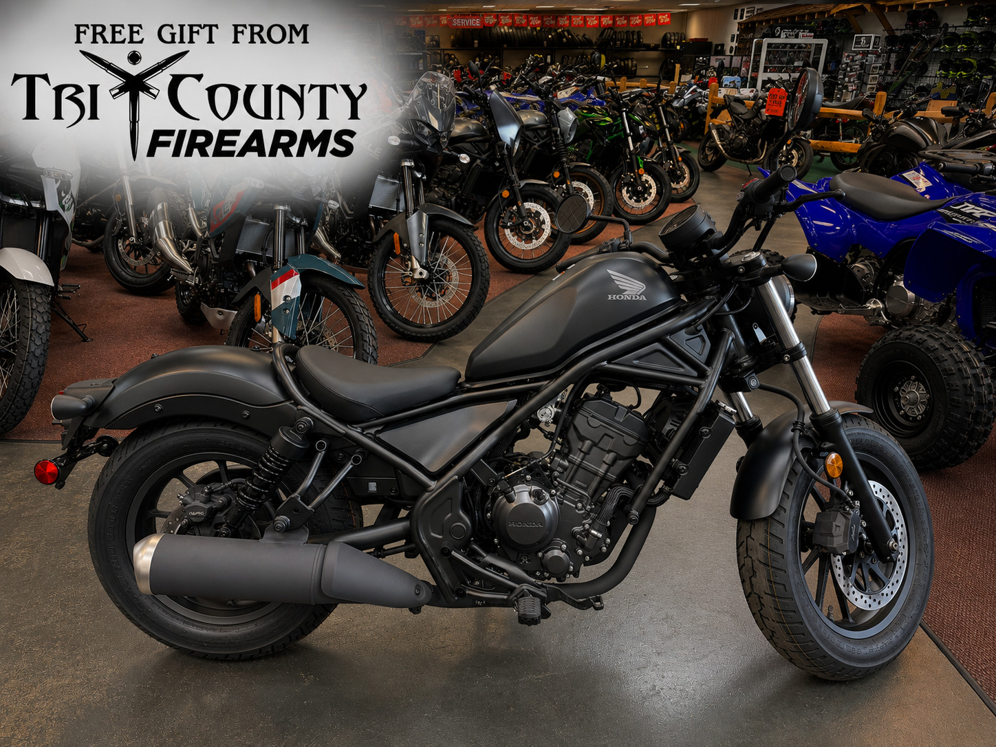 2025 Honda Rebel 300 300 in Petersburg, WV