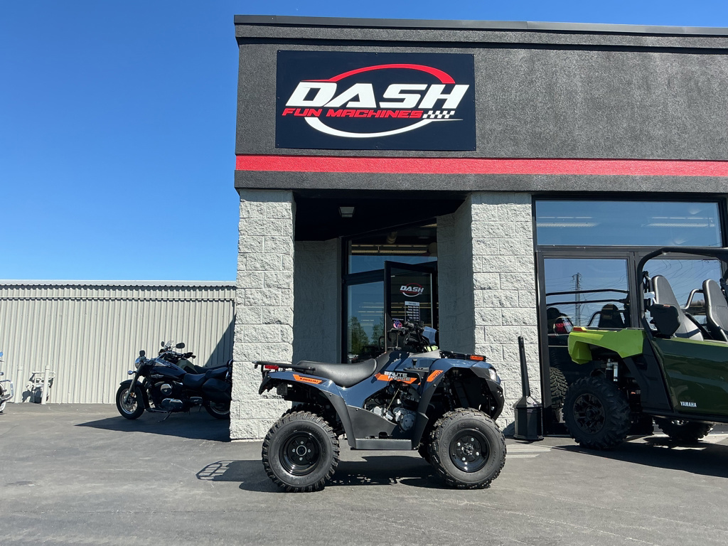 2026 Kawasaki BRUTE FORCE 300 UTV/Utility ATV