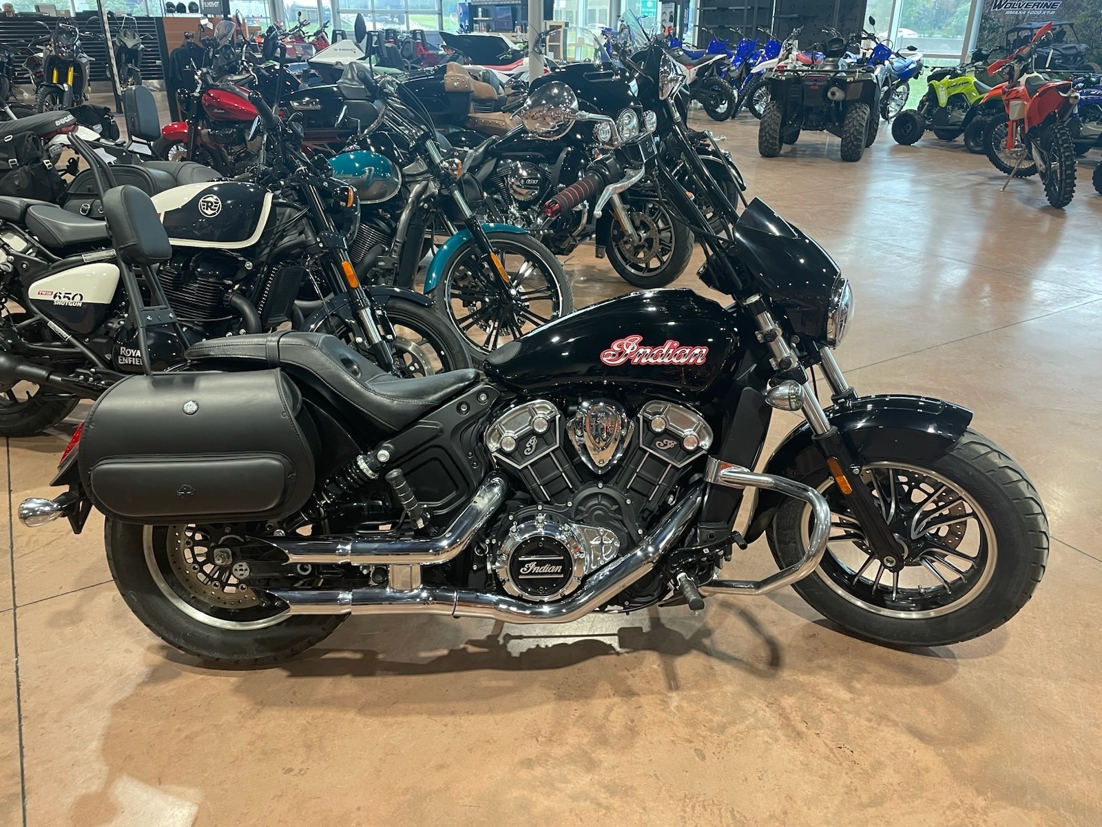 2021 Indian Motorcycle Scout in Walton, KY