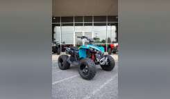 2026 Can-Am Renegade 110 EFI Recreation/Utility ATV