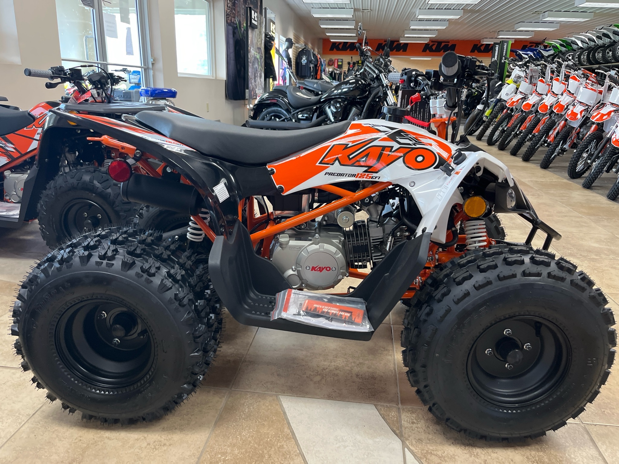 2026 Kayo Predator 125 EFI in berkeley springs WV