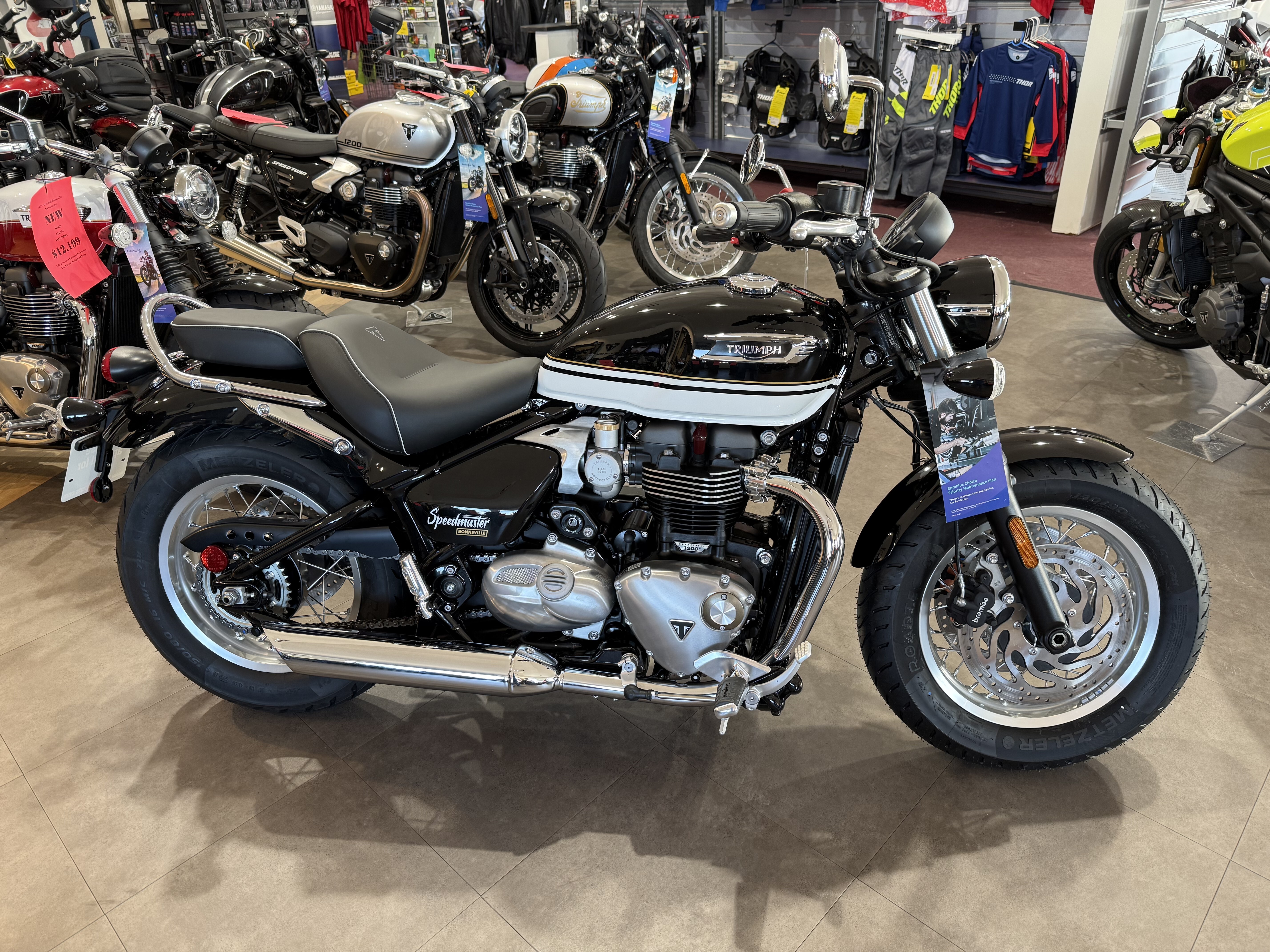 2026 Triumph Bonneville Speedmaster BASE in Belle Plaine, MN
