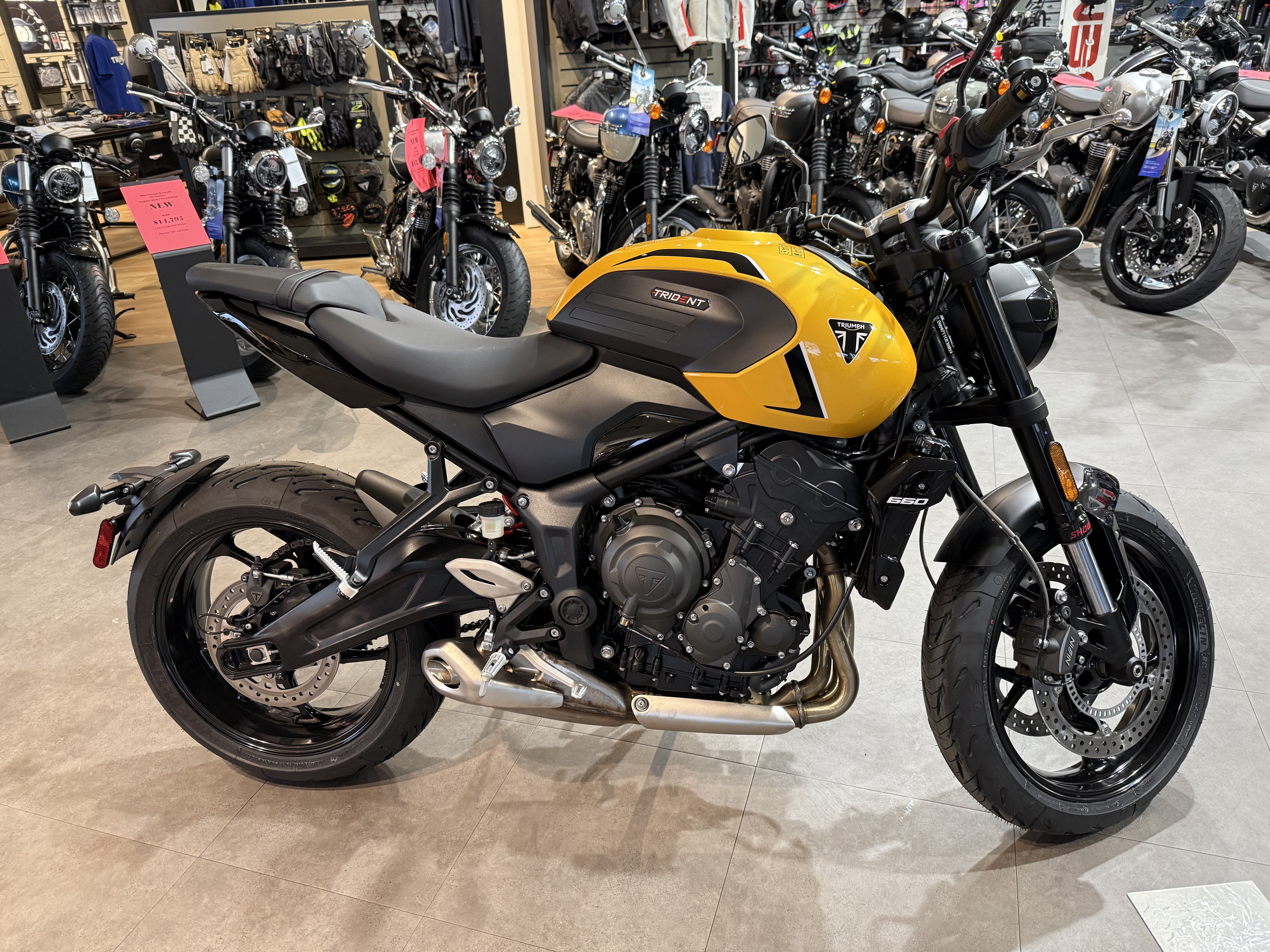 2026 Triumph Trident 660 660 in Belle Plaine, MN