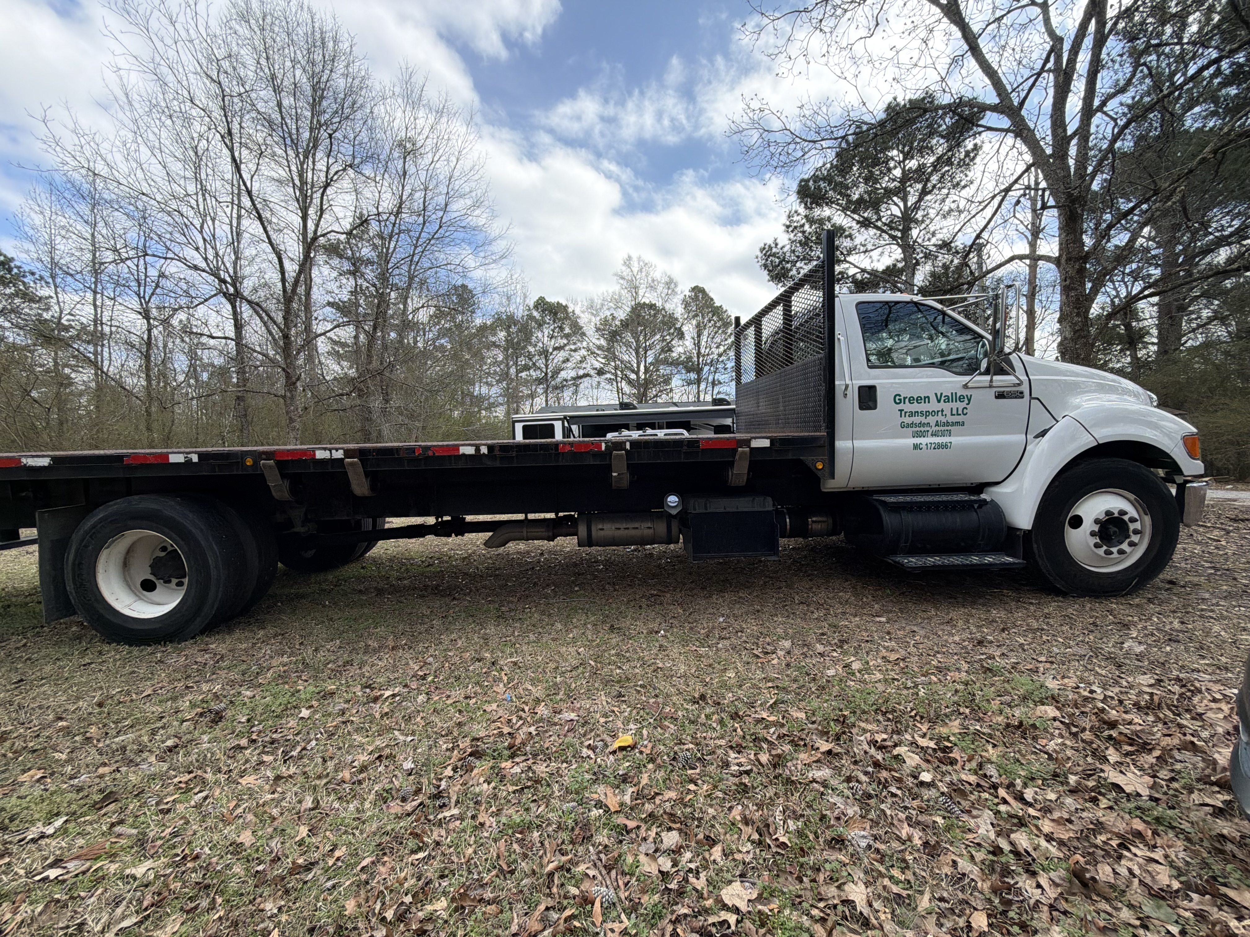 2015 FORD F650 SD DIESEL STRAIGHT FRAME SD DIESEL STRAIGHT FRAME in Glencoe, AL