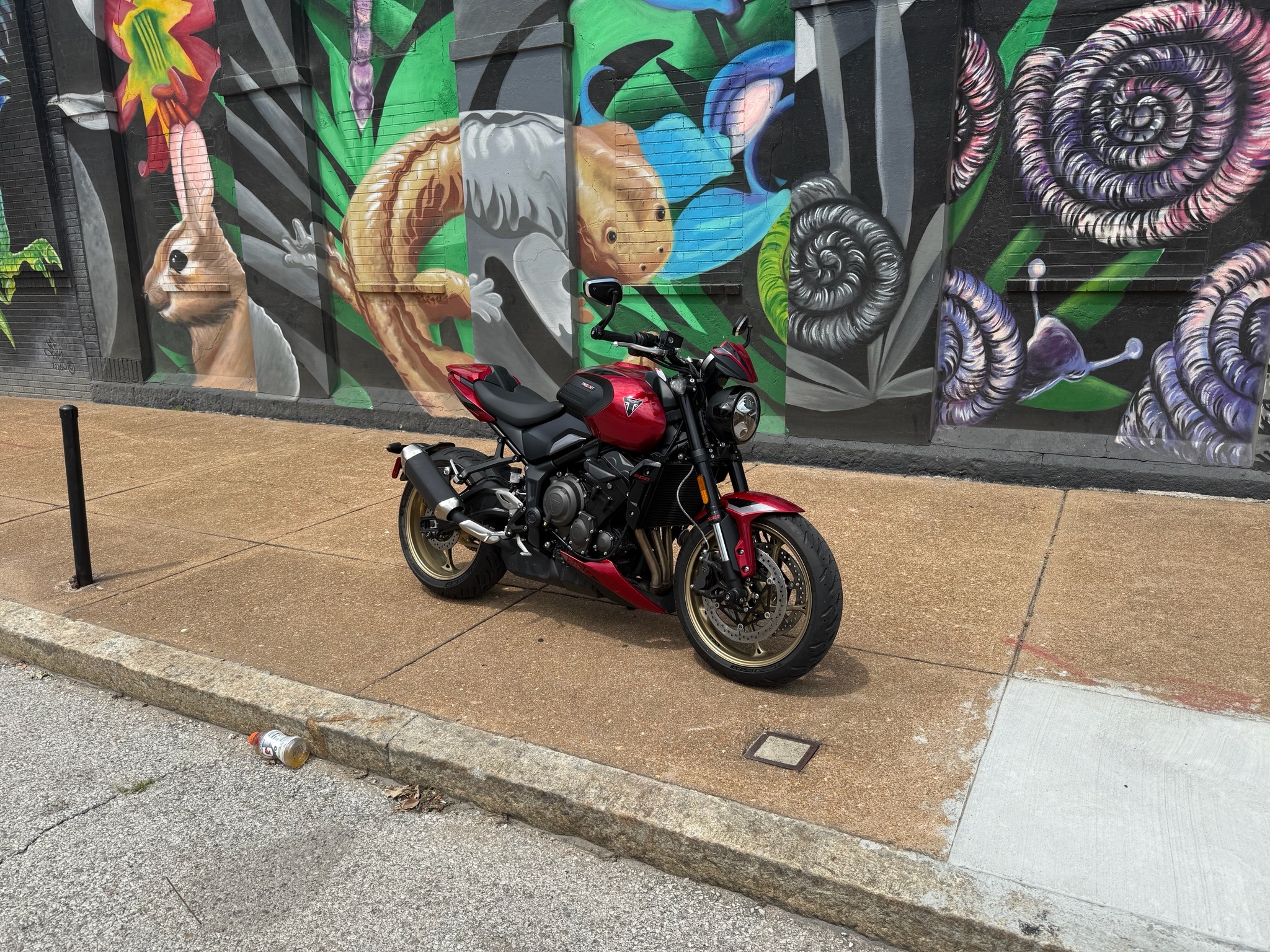 2026 Triumph Trident 800 800 in Saint Louis, MO