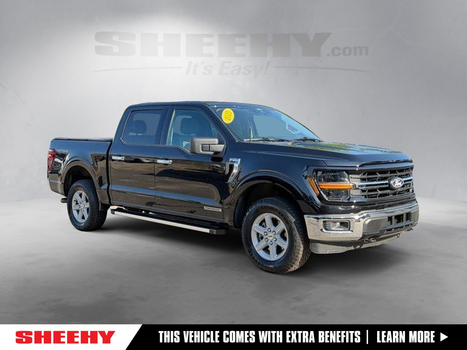 2025 FORD F150 XLT in Springfield, VA