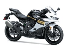 2026 Kawasaki W175 LTD ABS Preview image