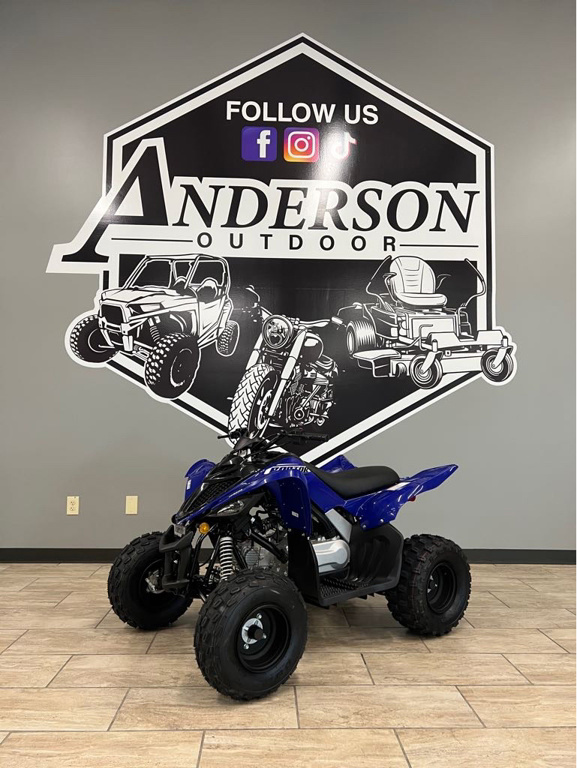 2026 Yamaha Raptor 110 in st joseph MO