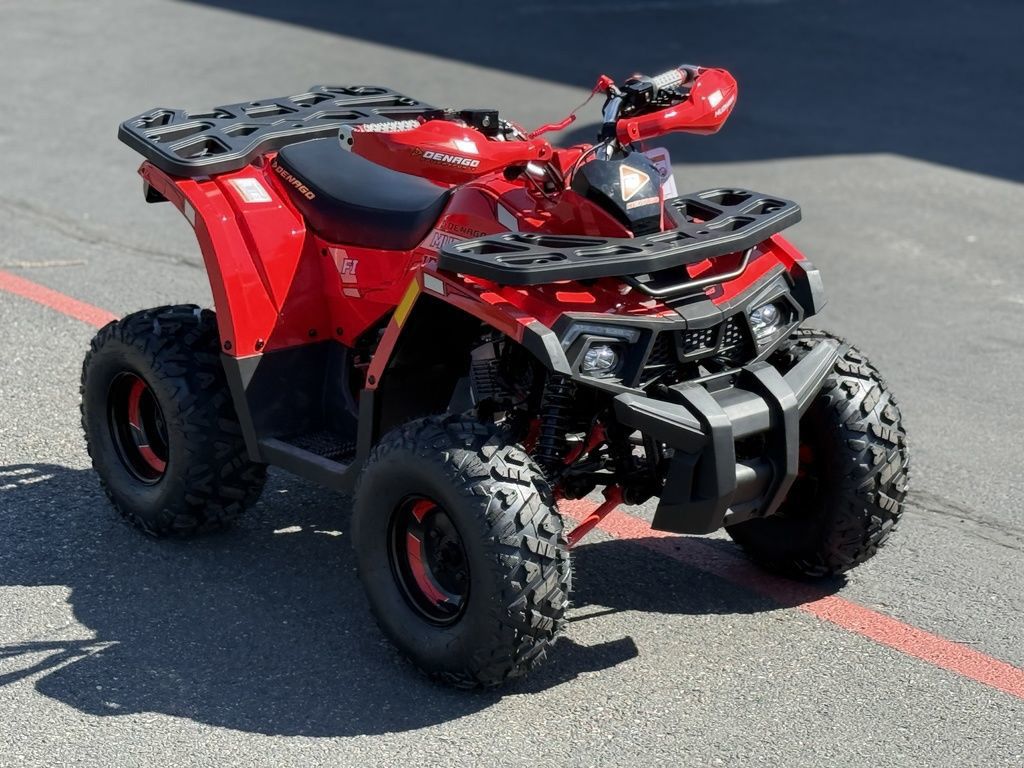 2026 Denago Powersports Mudhawk 10FI in kennewick WA
