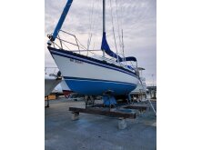 What You Need To Know About Schooners image