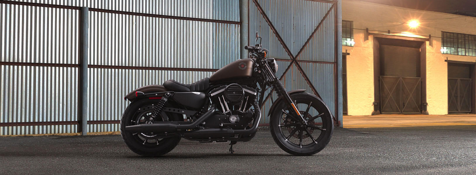 2019 Harley-Davidson Iron 883 IRON in Raleigh, NC