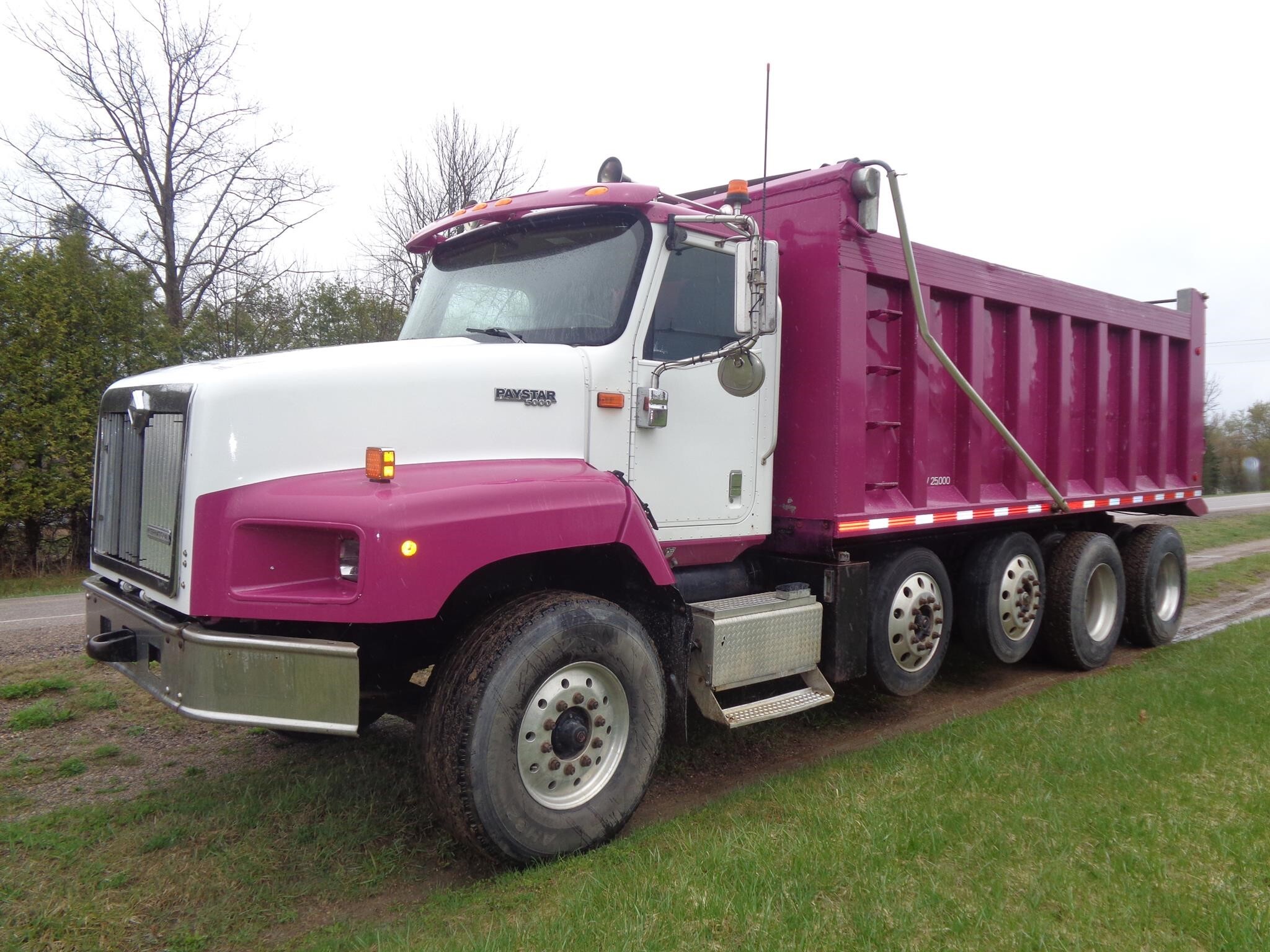 2007 INTERNATIONAL PAYSTAR 5000 in Wittenberg, WI