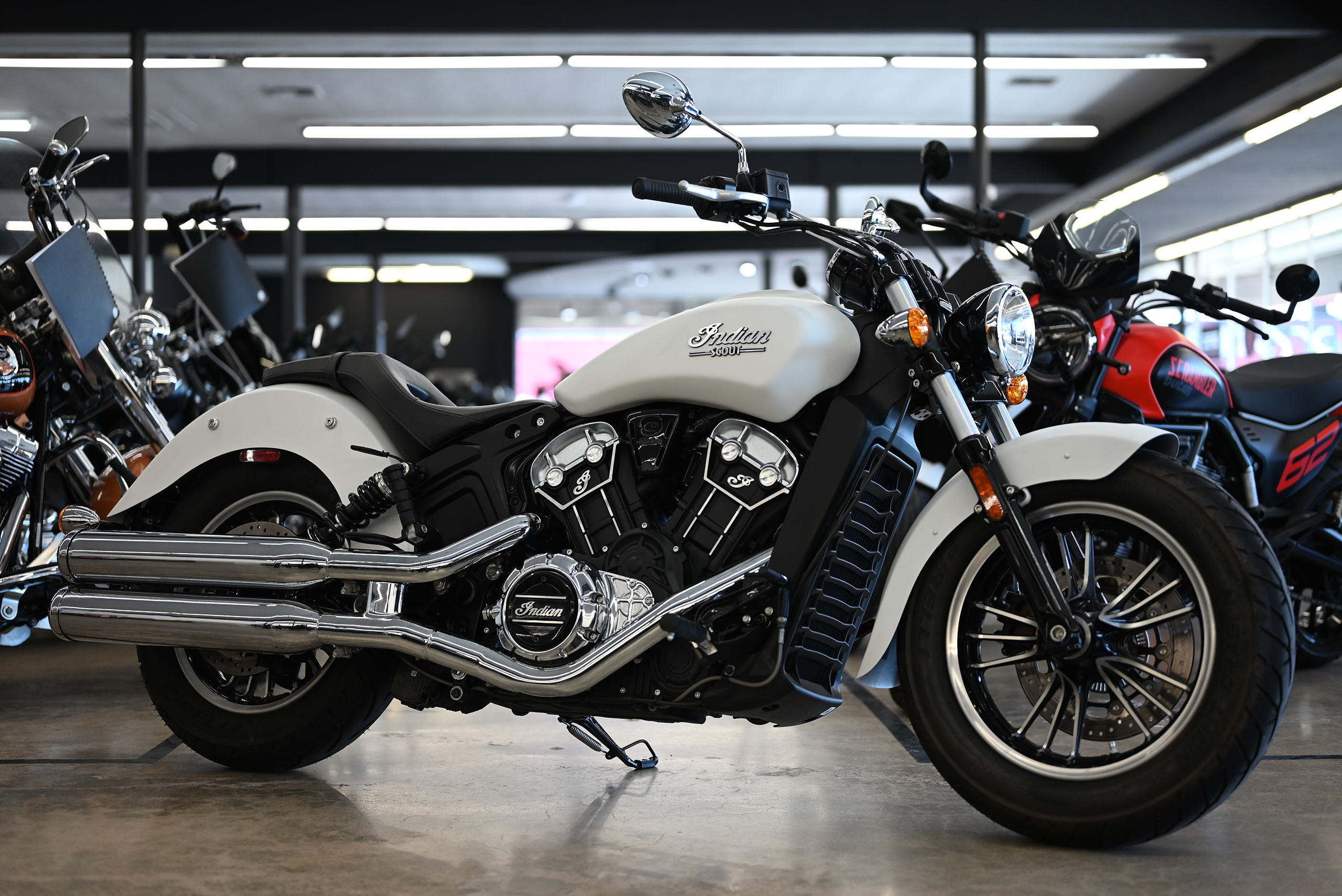 2022 Indian SCOUT in Lemon Grove, CA