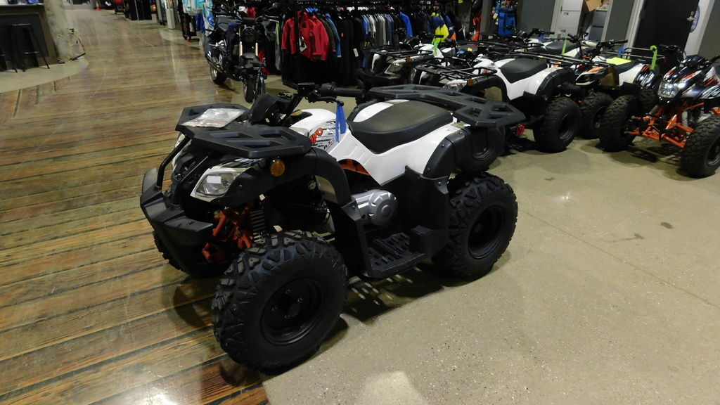 2021 Kayo Bull 180 in kalamazoo MI