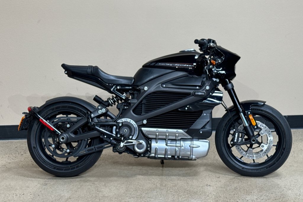 2020 Harley-Davidson LIVEWIRE ELW ELW in San Diego, CA