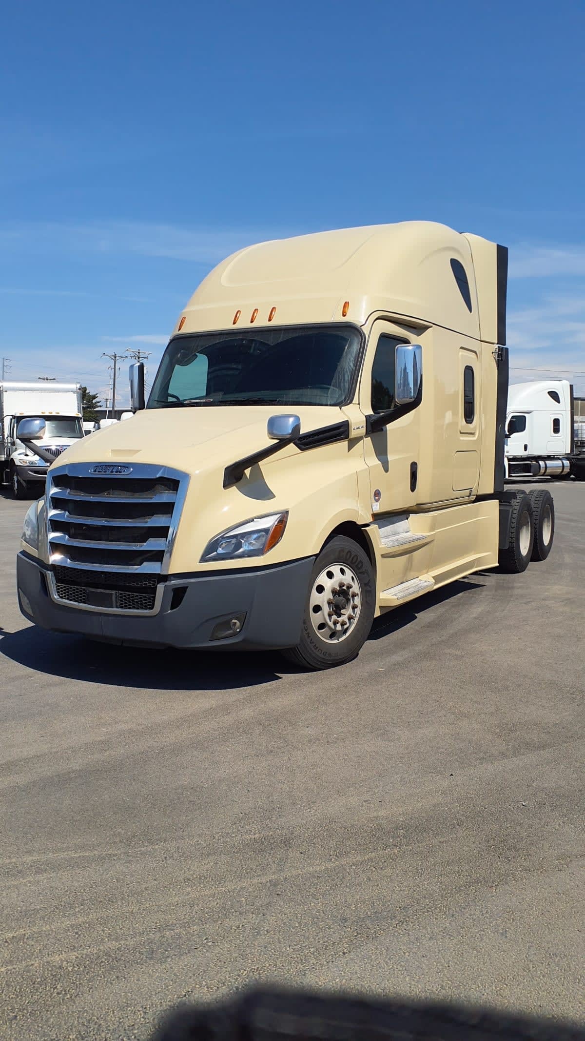 2019 FREIGHTLINER CASCADIA 126 in Tacoma, WA