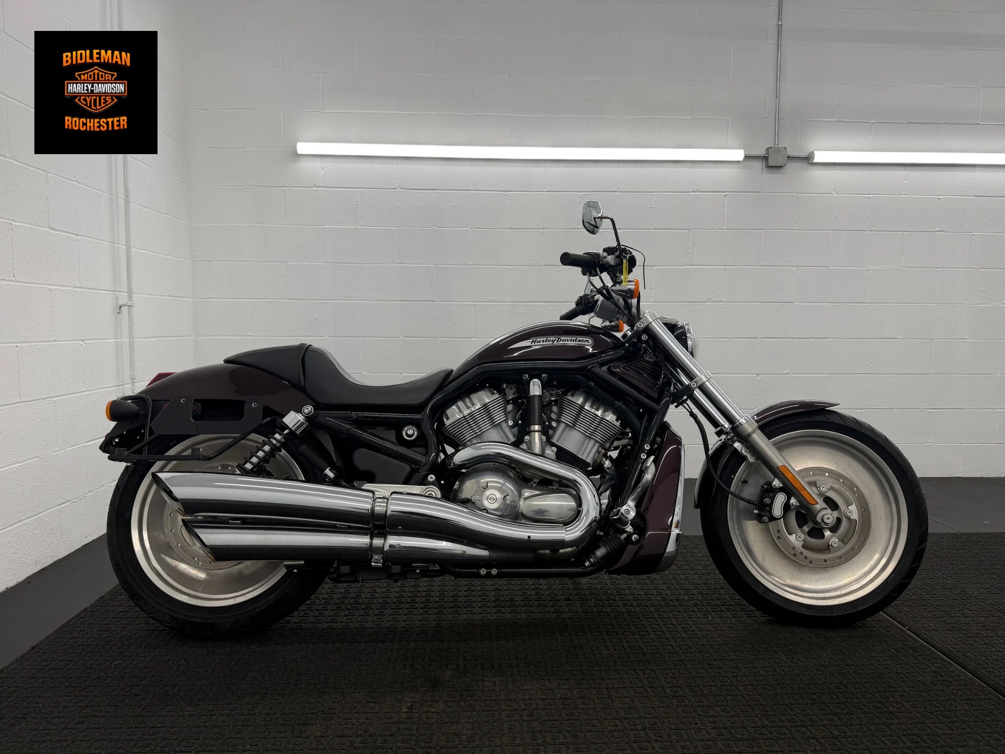 2005 Harley-Davidson VRSCB V-Rod® in Rochester, NY