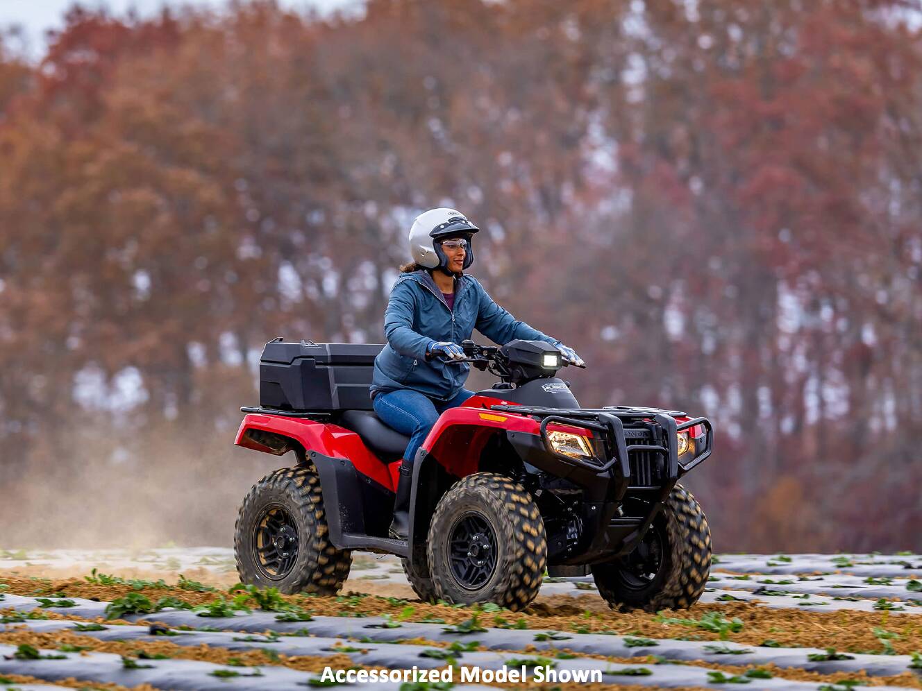 A photo of this 2026 Honda FourTrax Rubicon 700 4x4 Automatic