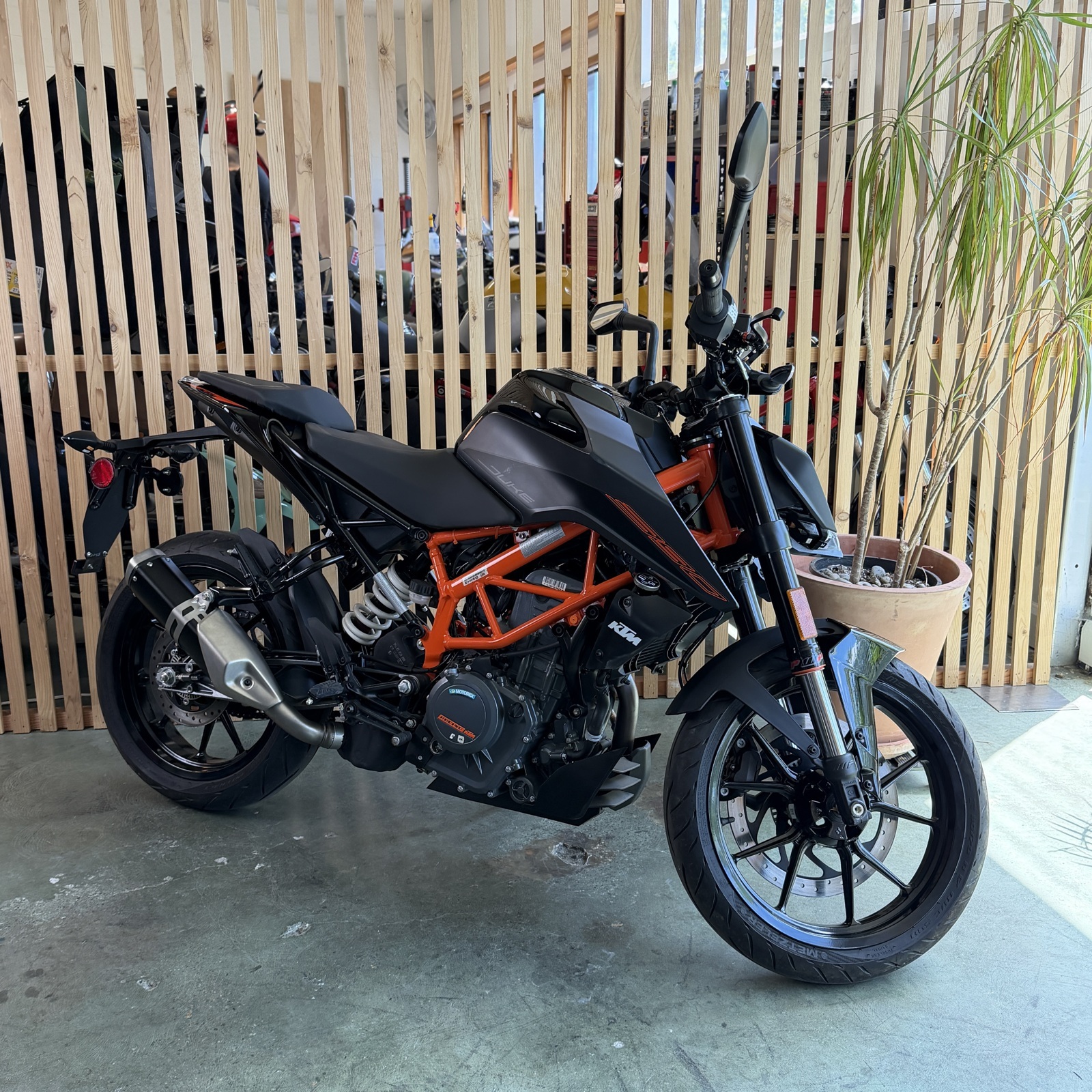2023 KTM DUKE 390 DUKE in Seattle, WA